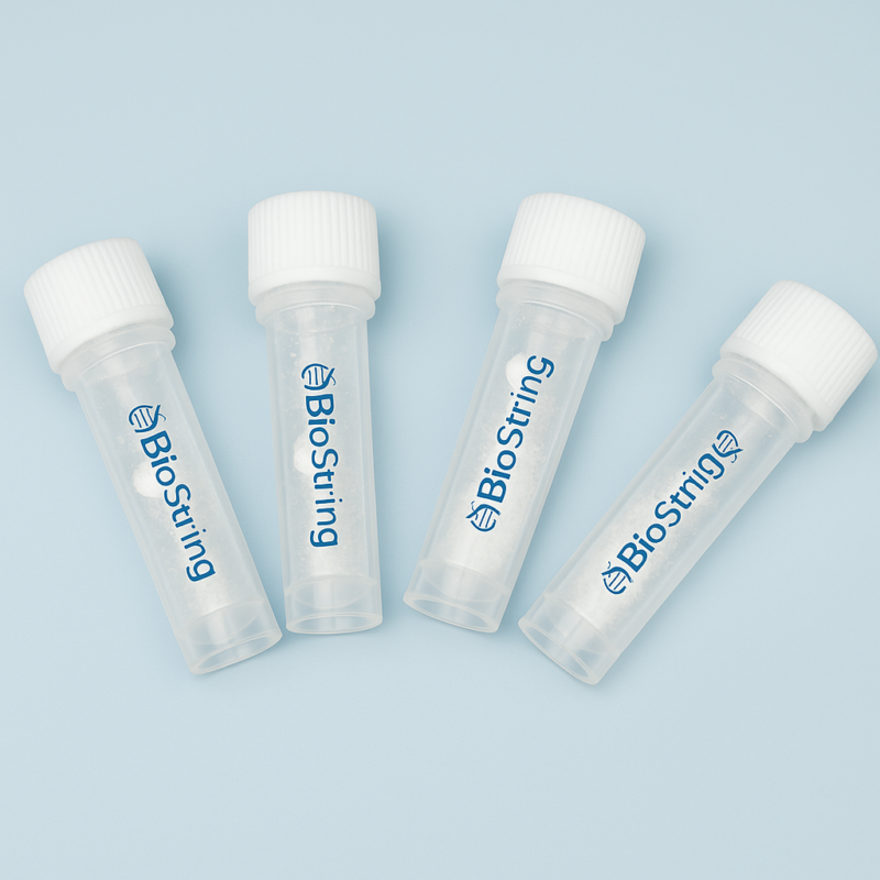 Homogenizing Bead Tubes | Lab Consumables – BioString