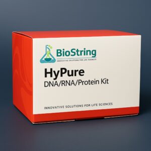 DNA-RAN-Protein kit