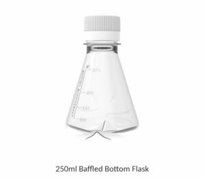 Erlenmeyer Flask