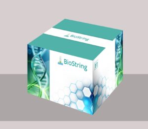 Elisa Kit
