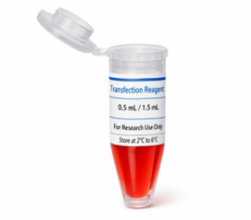 Transfection Reagent