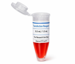 Transfection Reagent