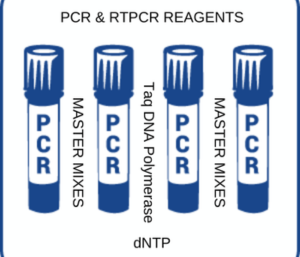 PCR-RTPCR