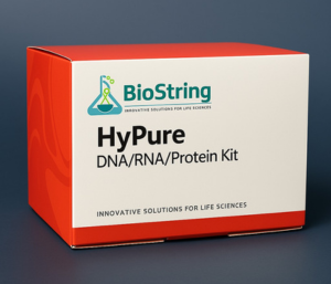 DNA-RAN-Protein-kit