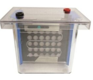 Western Blotting System