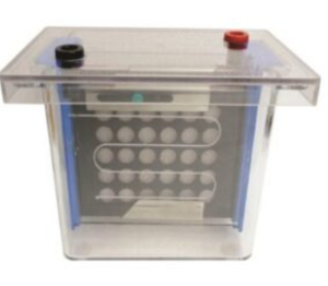 Western Blotting System