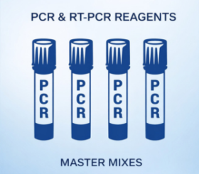 PCR & RT-PCR REAGENTS