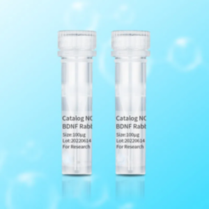Antibody