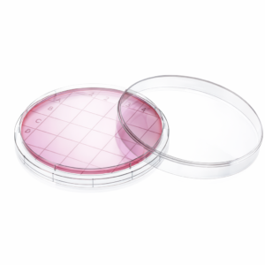 Contact Plate