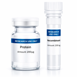Protein