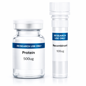Recombinant Protein