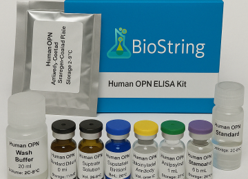 Rat LH(Luteinizing Hormone) ELISA Kit