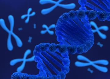 Gene Synthesis 01 Gene Synthesis 01