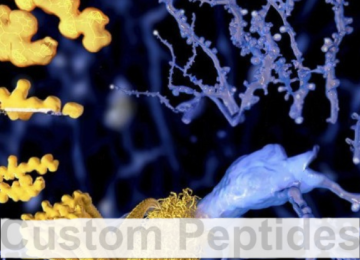 Peptide Synthesis 1 Peptide Synthesis 1